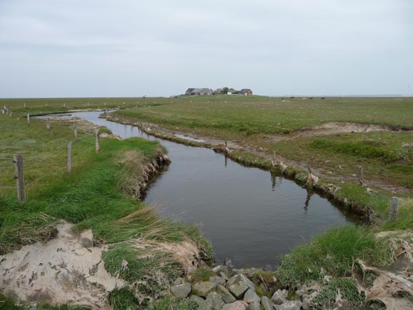 Hallig Langene�