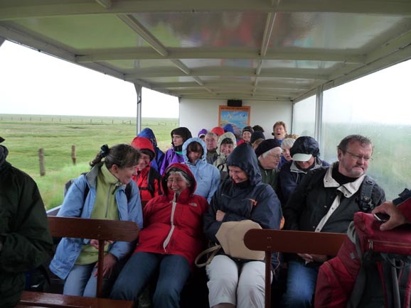 Feucht, luftig und fr�hlich im Hallig-Express