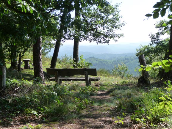 Weitblick ins Wasgau vom Hummelberg