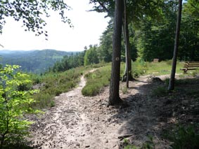 Die Langm�hler Aussicht