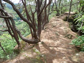 Weg zum Jungfernsprung