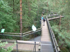 Baumwipfelpfad bei Fischbach