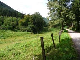 Von Nothweiler zum Gimbelhof