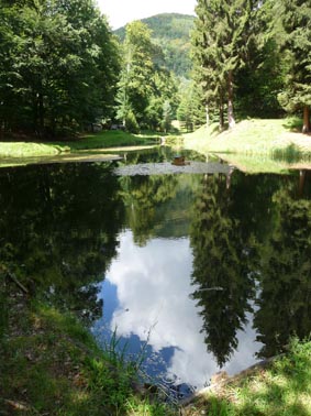 Der lauschig gelegene Kindelsweiher
