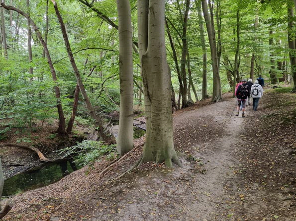 Duvenstedt-Ahrensburg-Ost-20250927_113111-An der Bredenbek