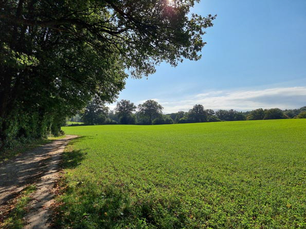 Duvenstedt-Ahrensburg-Ost-20250927_142850-Am Bredenbeker Teich
