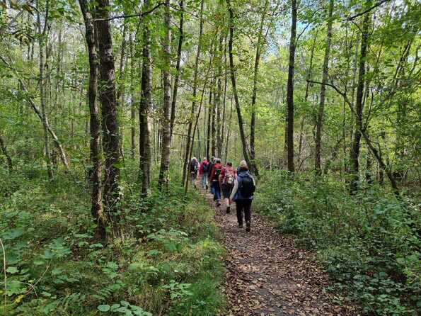 Duvenstedt-Ahrensburg-Ost-20250927_144713-Erlengrund