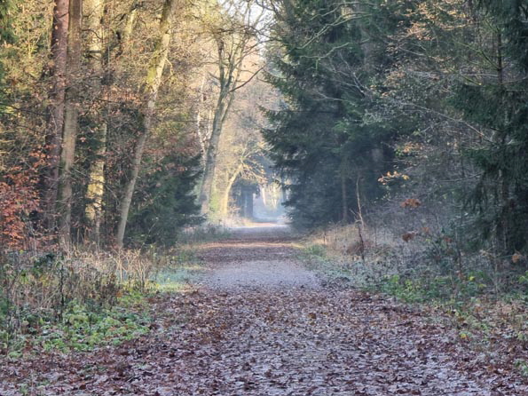 Kayhude-20251122_120531 Kayhude-20251122_120531