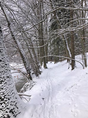 Halbtagswanderung-2 Halbtagswanderung-2