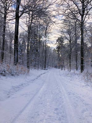 Halbtagswanderung-4 Halbtagswanderung-4