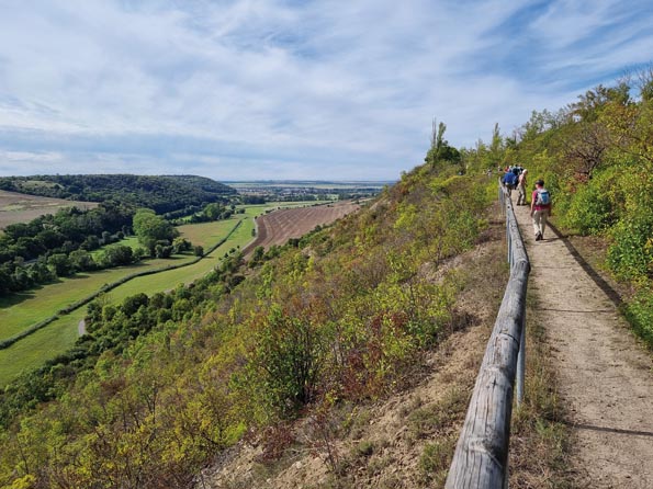 Naumburg-20250908_151053-Rundweg Zscheiplitz Naumburg-20250908_151053-Rundweg Zscheiplitz