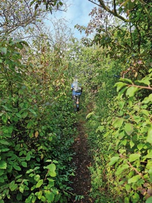 Naumburg-20250909_101912-schmale Wege Naumburg-20250909_101912-schmale Wege