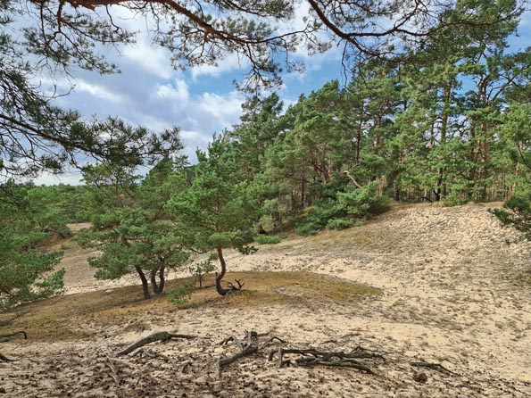 Radtour-(06) Wanderd�ne Stixe