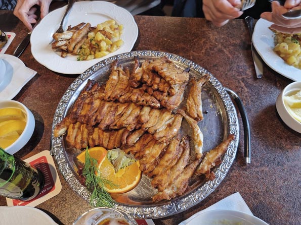 Stint-20260221_125453-Stint