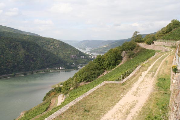 Rheinsteig-IMG_6073
